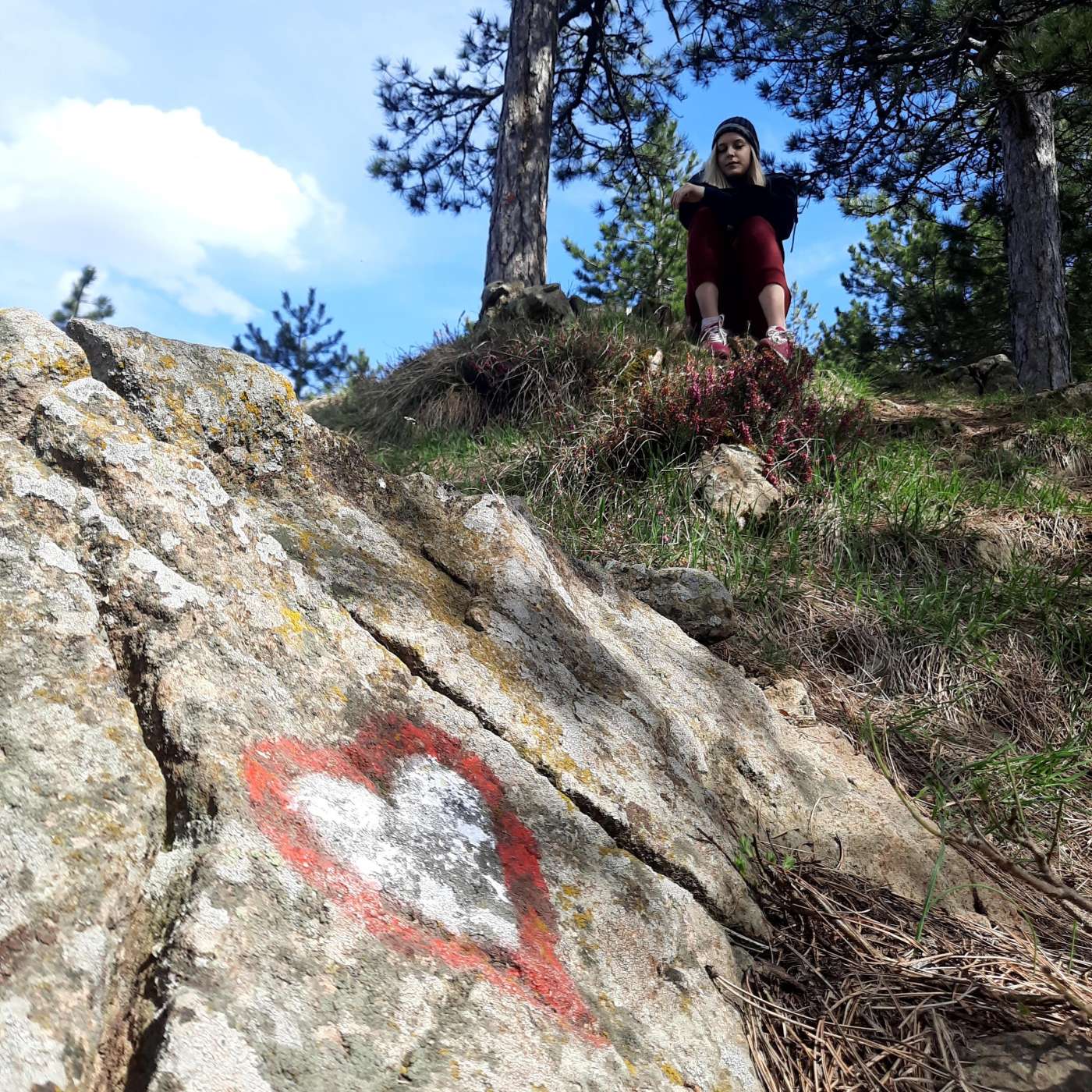 Deset razloga zašto da provedete letnji odmor na Divčibarama