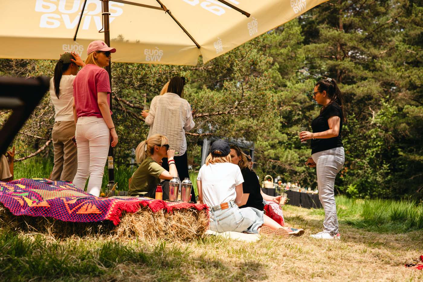 Prolećna promo ponuda