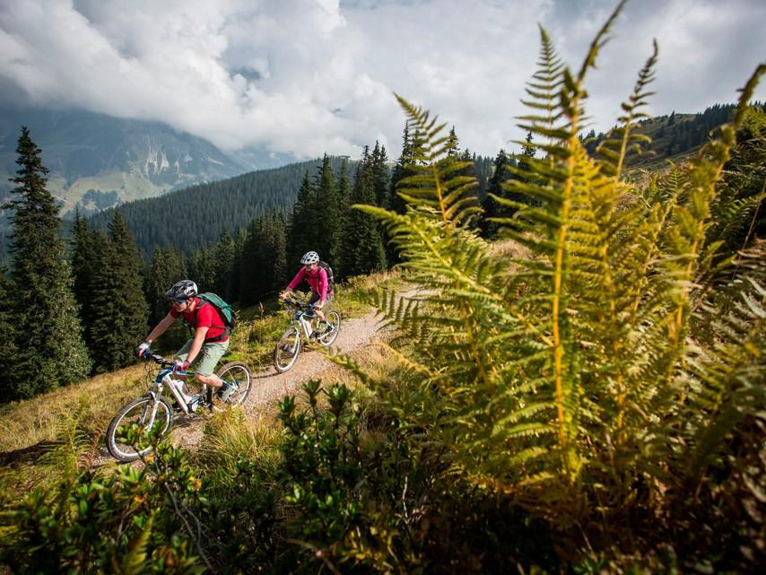 eBike izlet - Team building