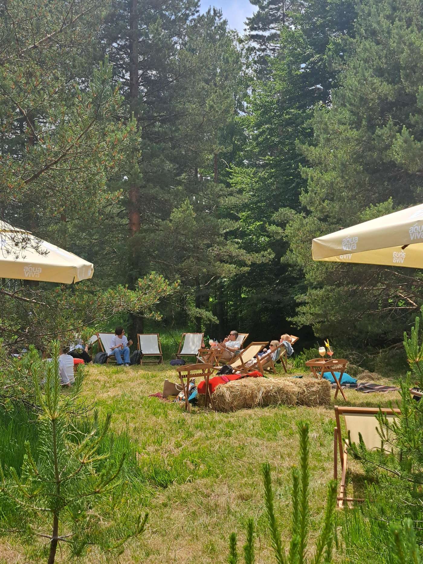 Maglian Restoran Divčibare - Letnja bašta - Domaća hrana